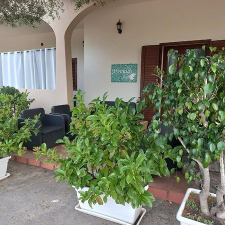 Mivida "Le Stanze Di Ada" Bed & Breakfast San Teodoro  Exterior photo