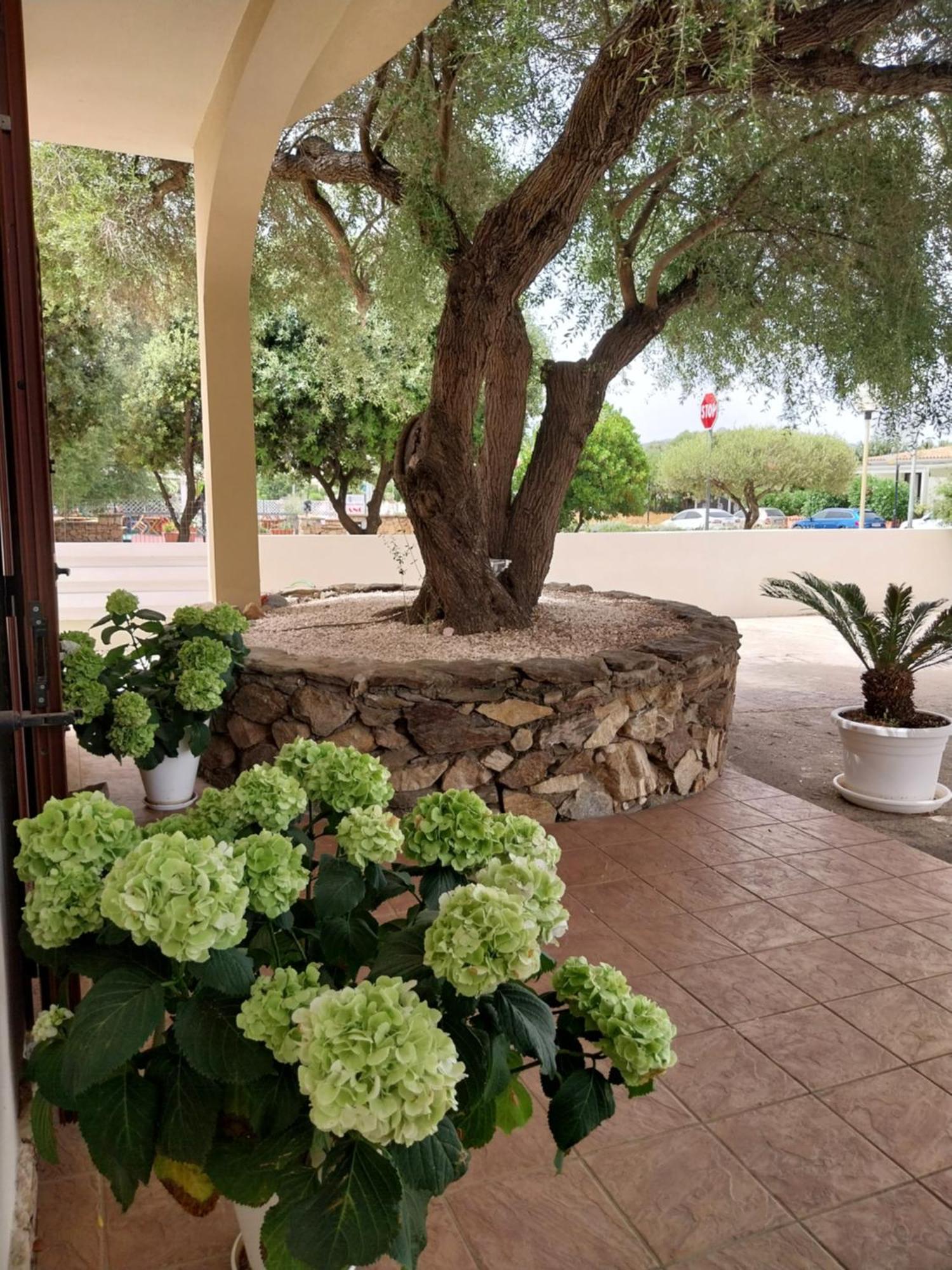 Mivida "Le Stanze Di Ada" Bed & Breakfast San Teodoro  Exterior photo